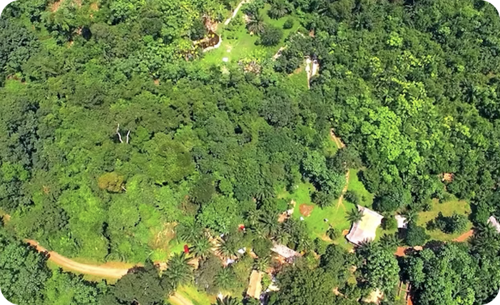 Capture d’écran 2025-03-14 à 12.54.35